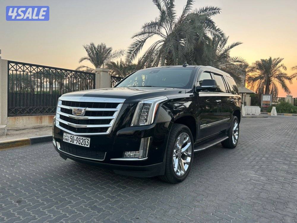 المعاينة العارضية الصناعيه1