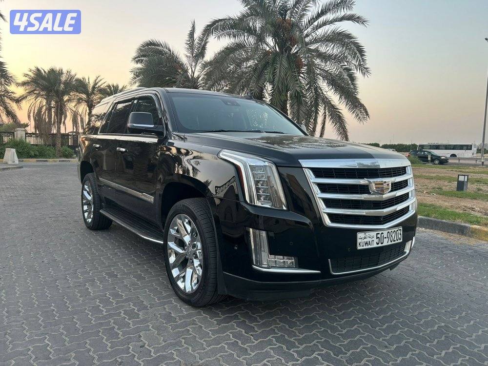 المعاينة العارضية الصناعيه3