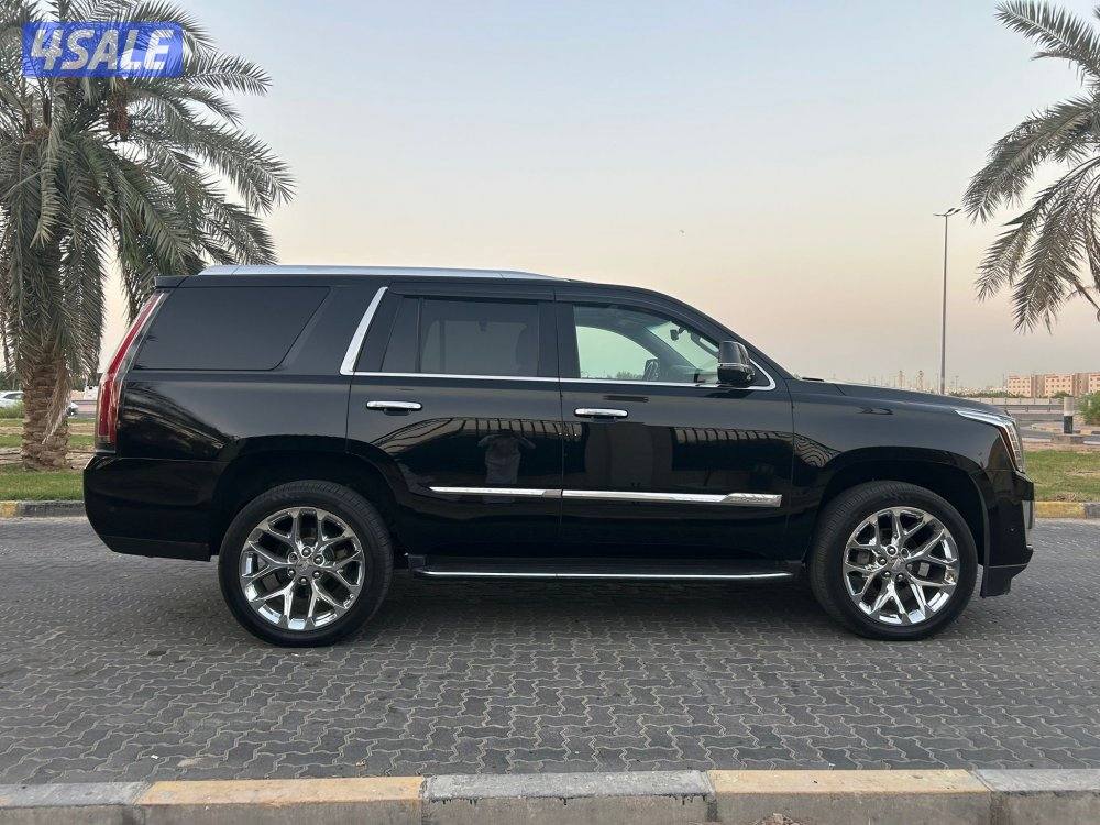 المعاينة العارضية الصناعيه2