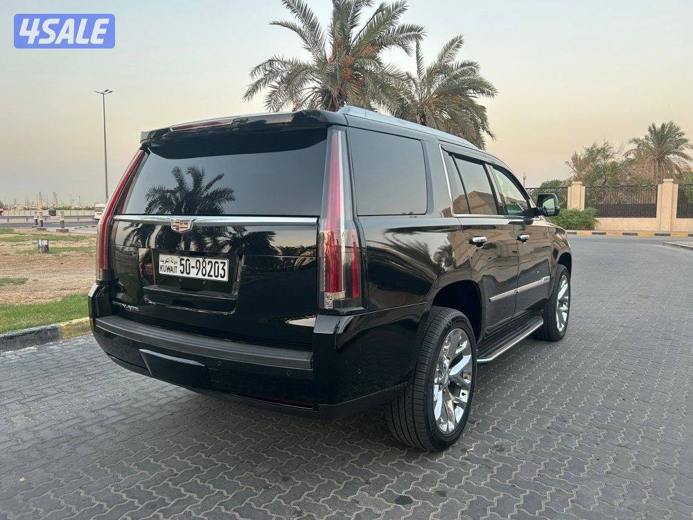 المعاينة العارضية الصناعيه4