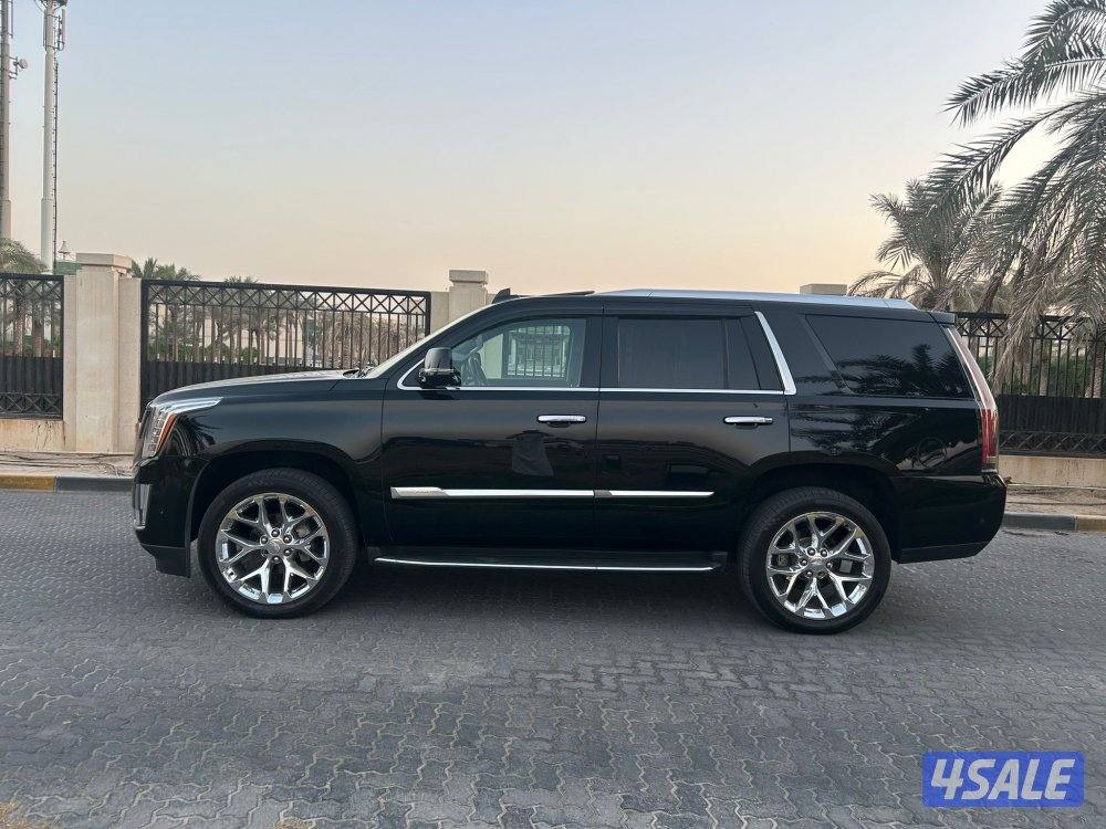 المعاينة العارضية الصناعيه5