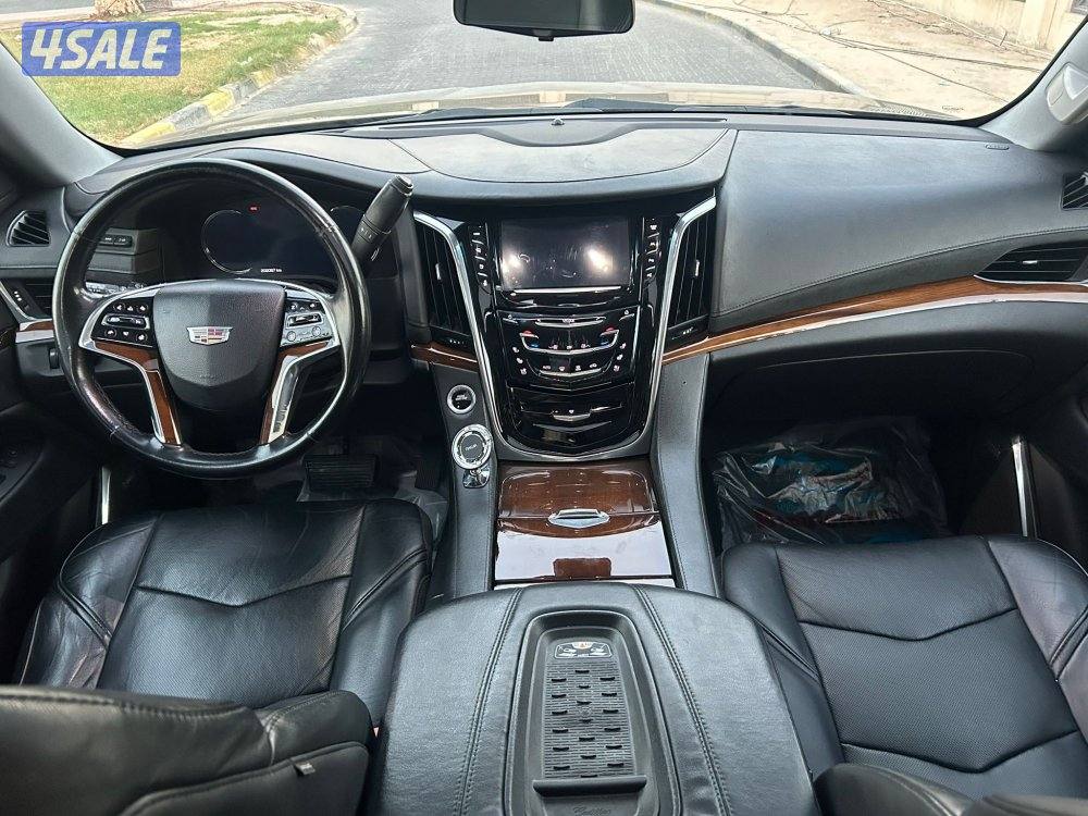 المعاينة العارضية الصناعيه8