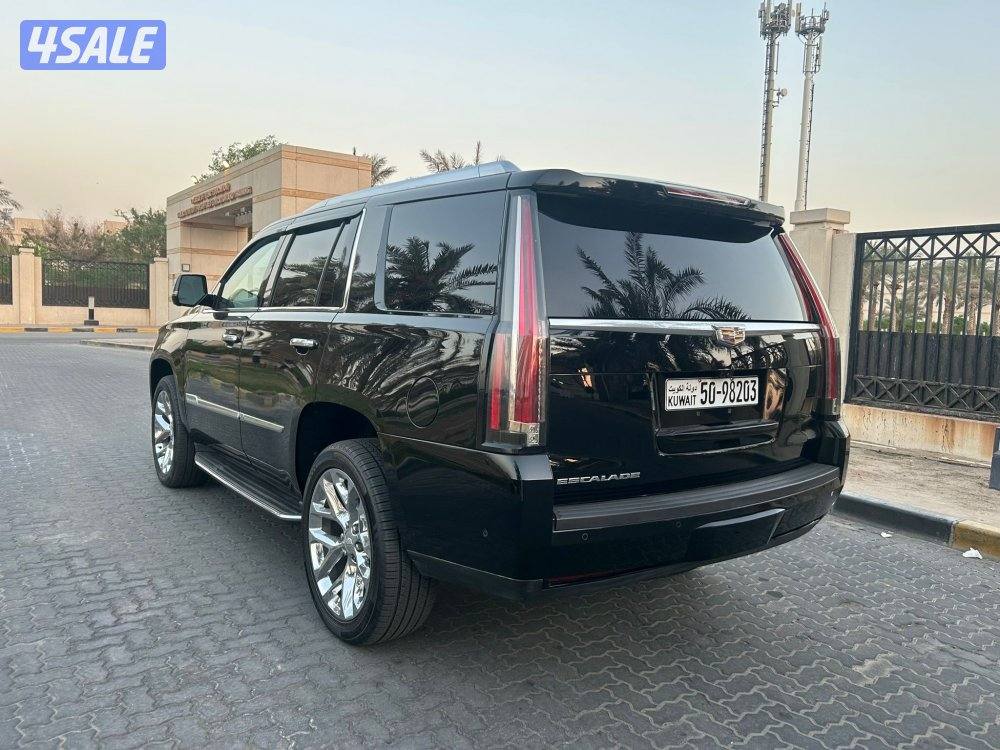 المعاينة العارضية الصناعيه9