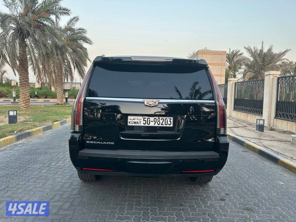 المعاينة العارضية الصناعيه10