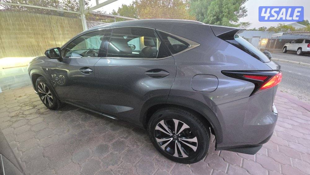 لكزس NX-300 F sport3