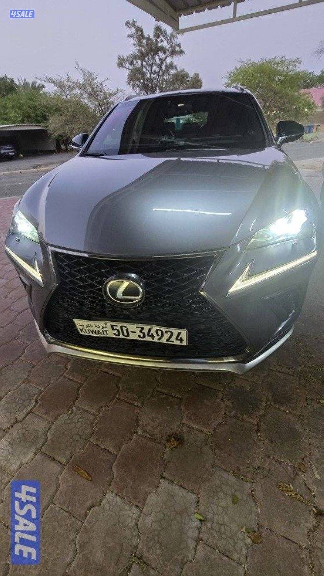 لكزس NX-300 F sport0