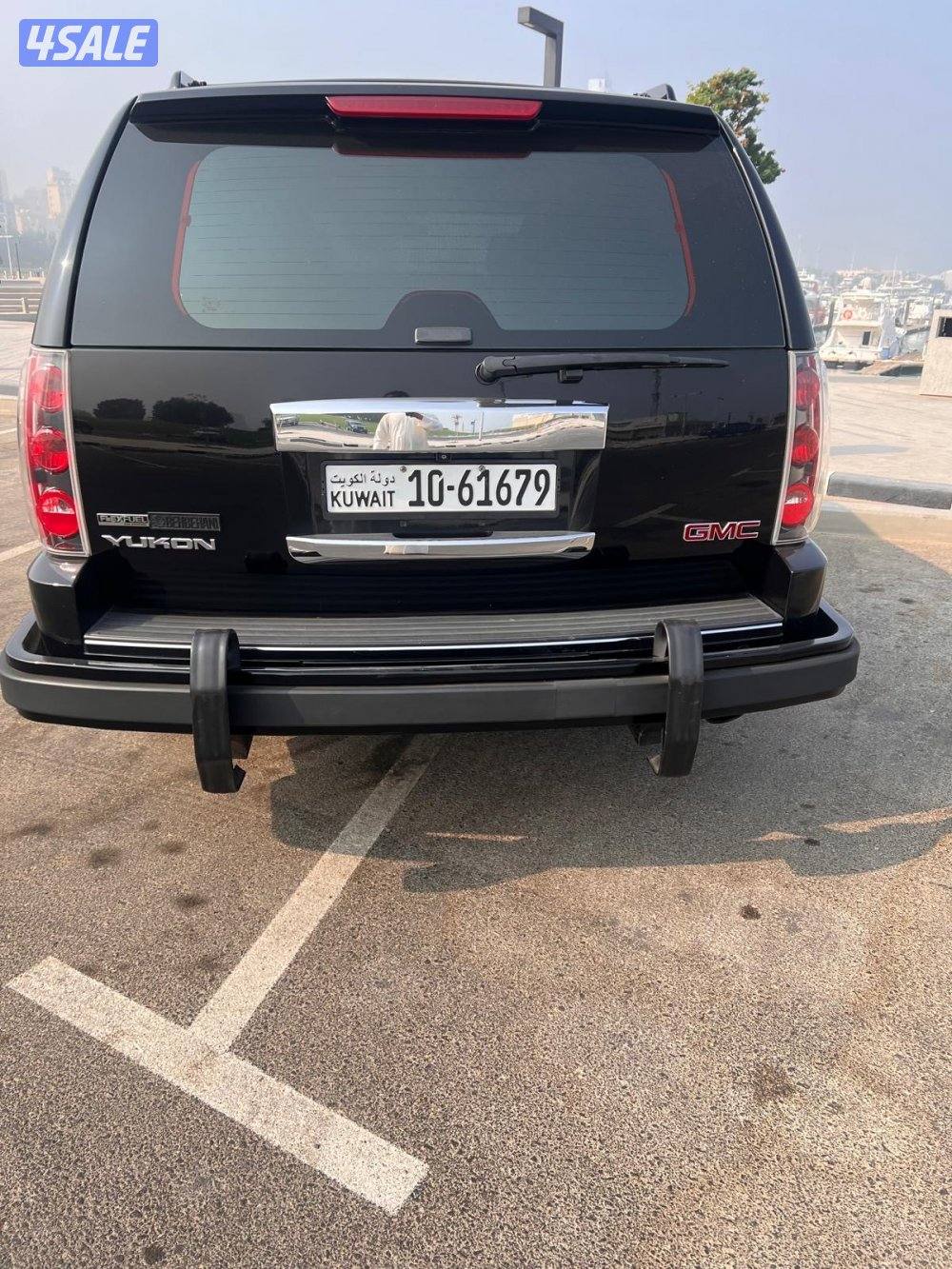 يوكن دينالي 20113