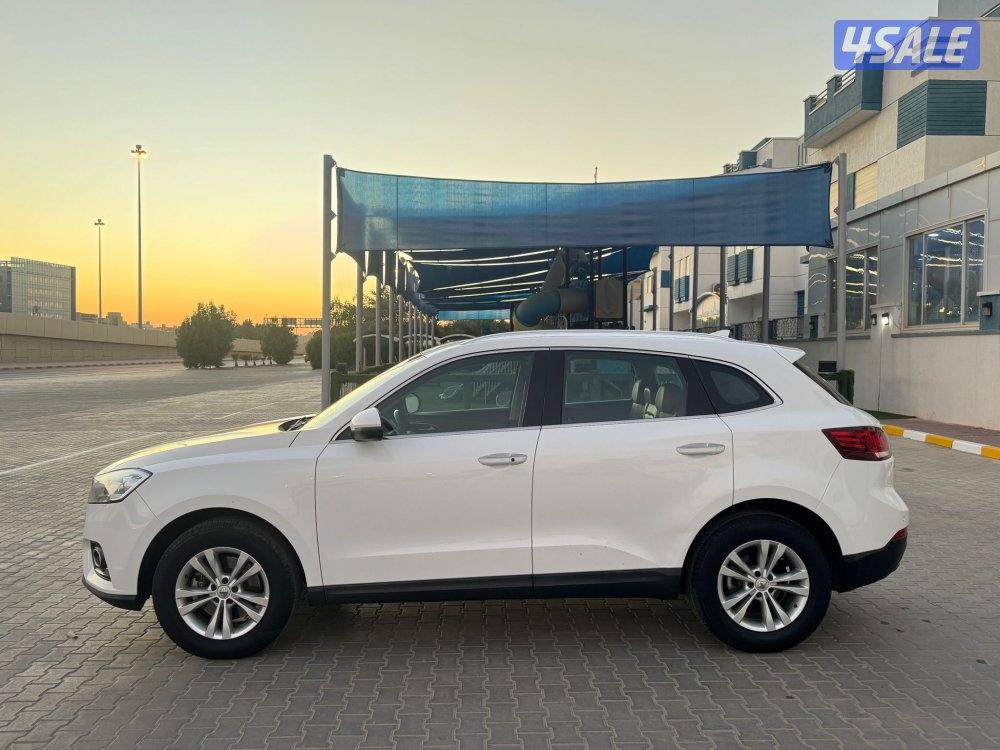 بورجراد 2018 7 راكب6