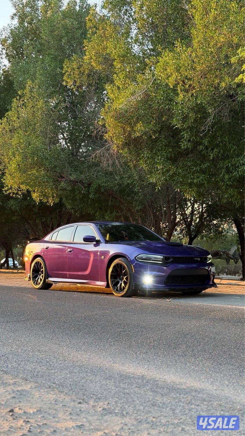 DODGE CHARGER R/T plus0