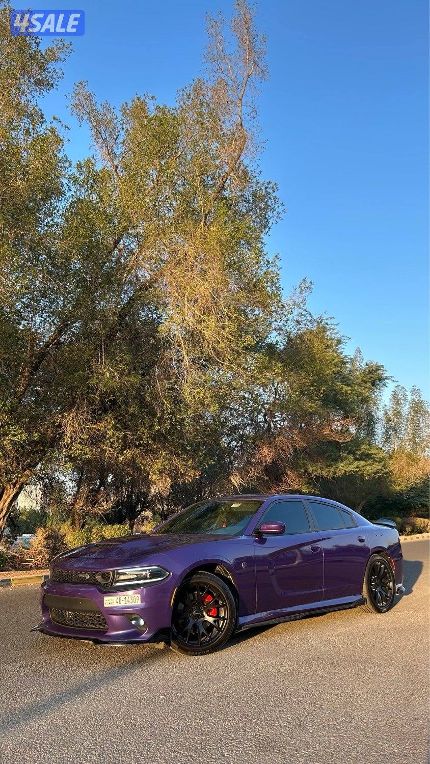 DODGE CHARGER R/T plus1