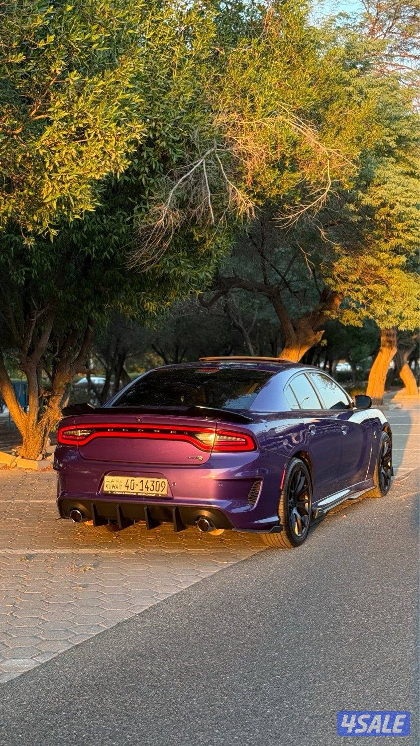 DODGE CHARGER R/T plus4