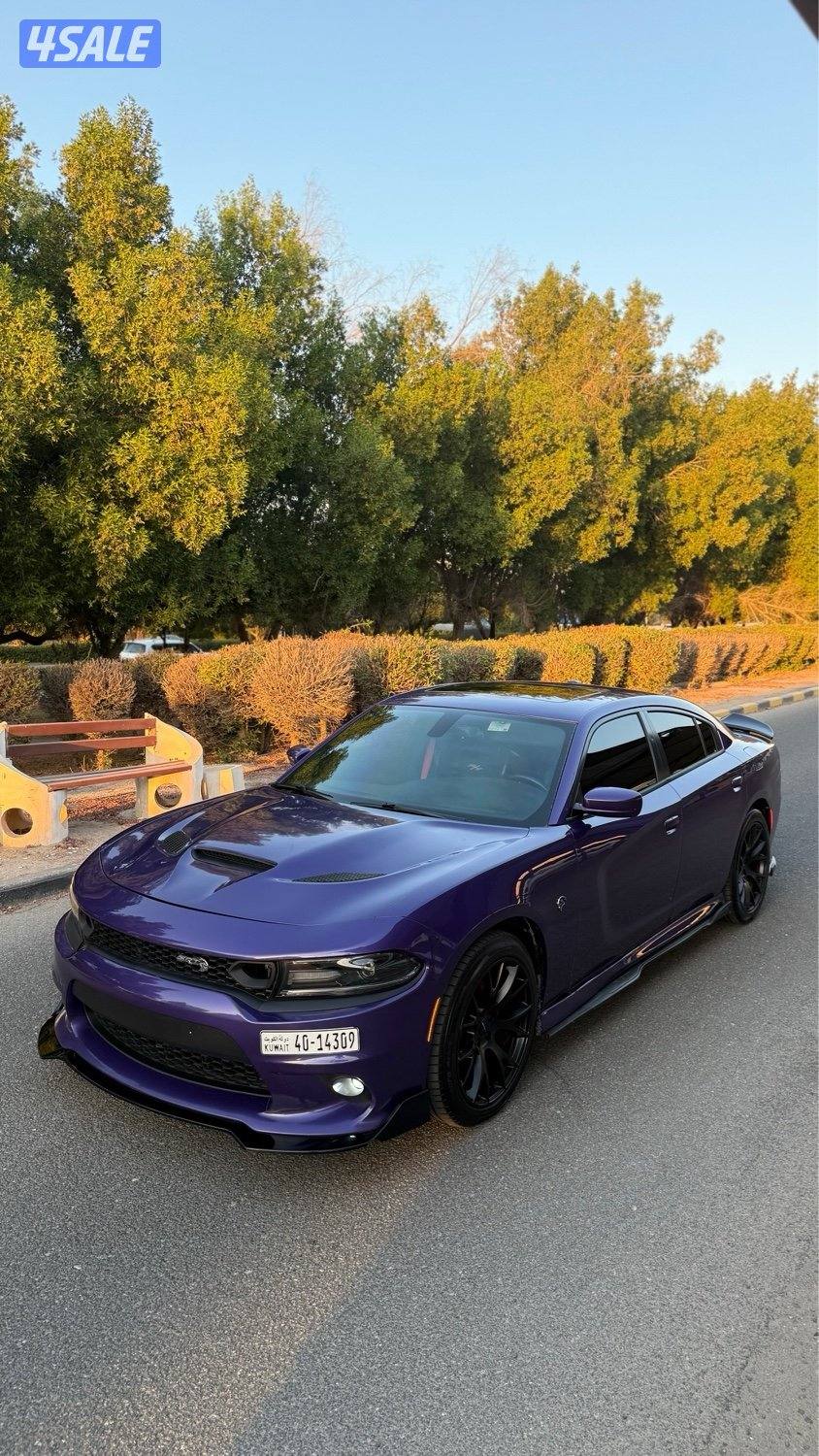 DODGE CHARGER R/T plus6