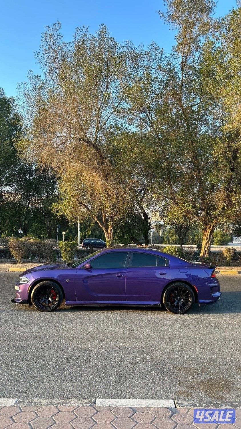 DODGE CHARGER R/T plus7