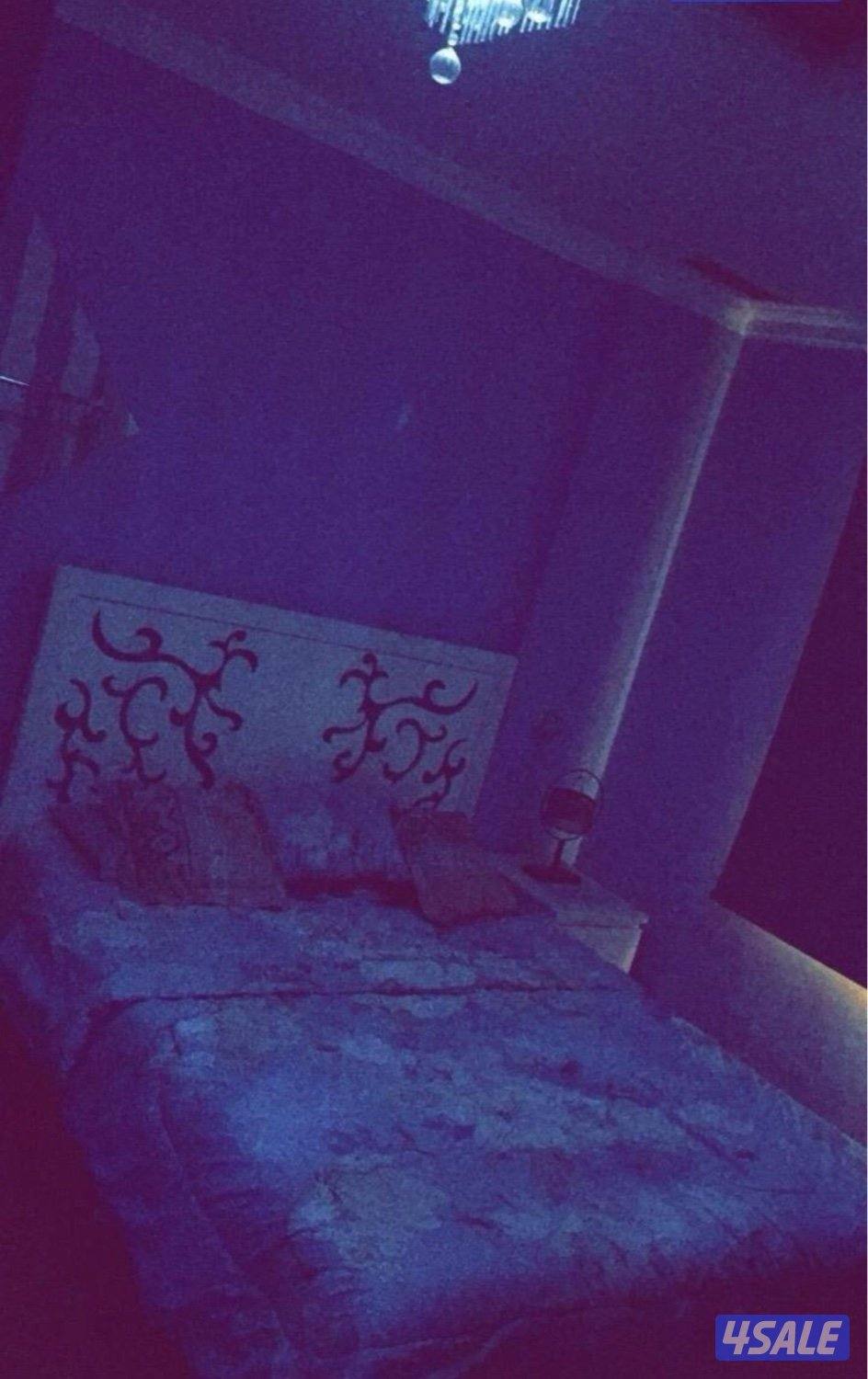 اجار يومي بسالميه5