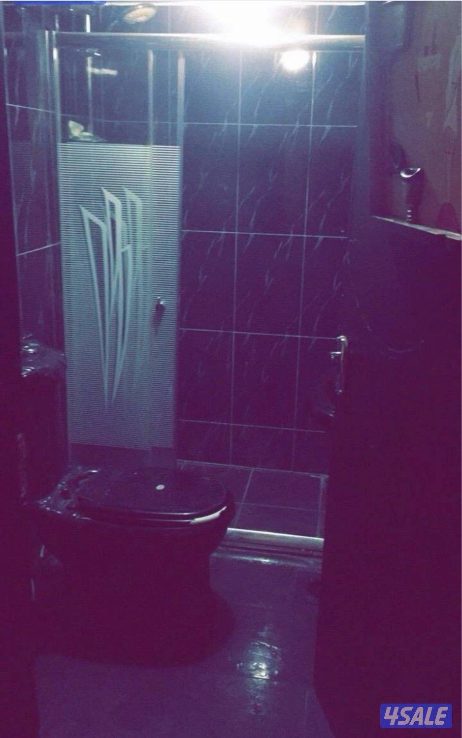 اجار يومي بسالميه6