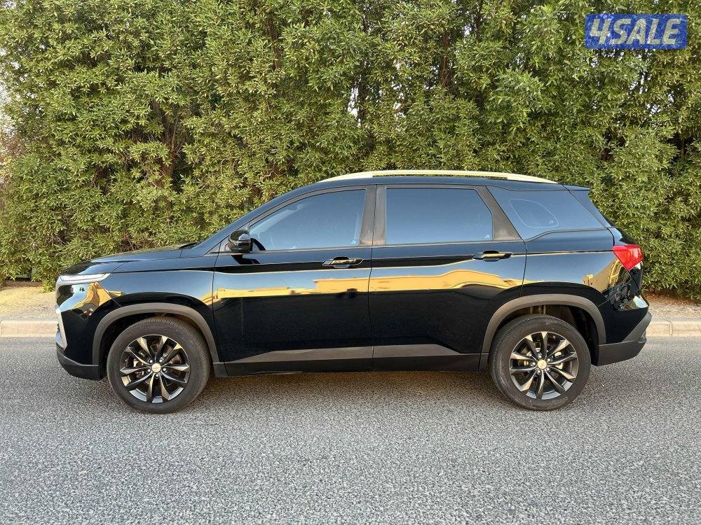 كابتيفا 20233