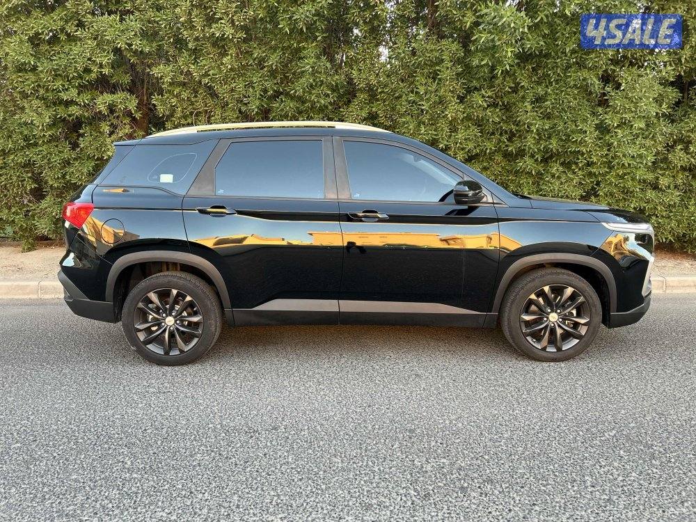 كابتيفا 20237