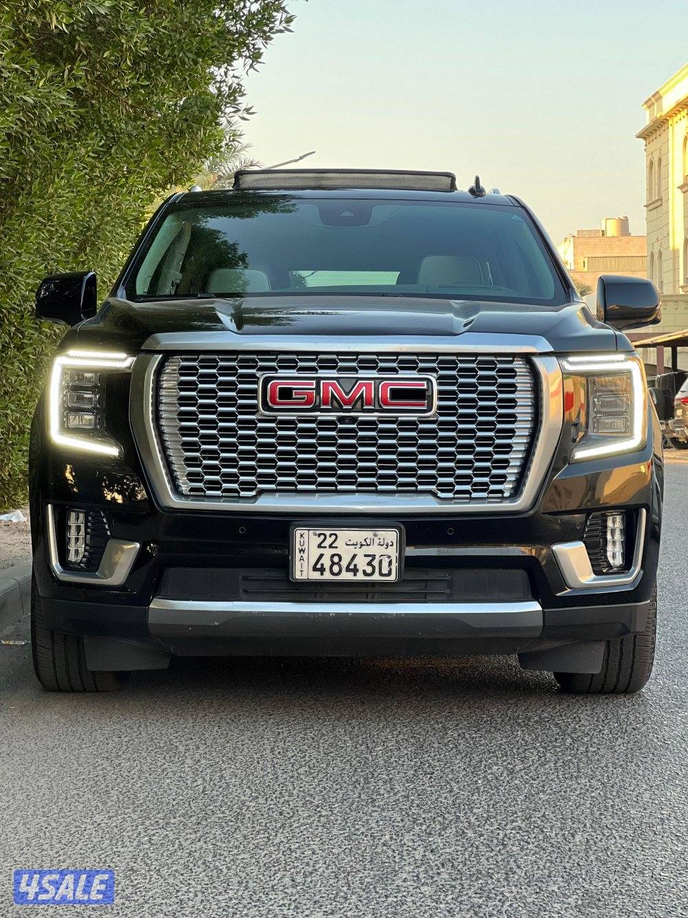 للبيع دينالي 20231