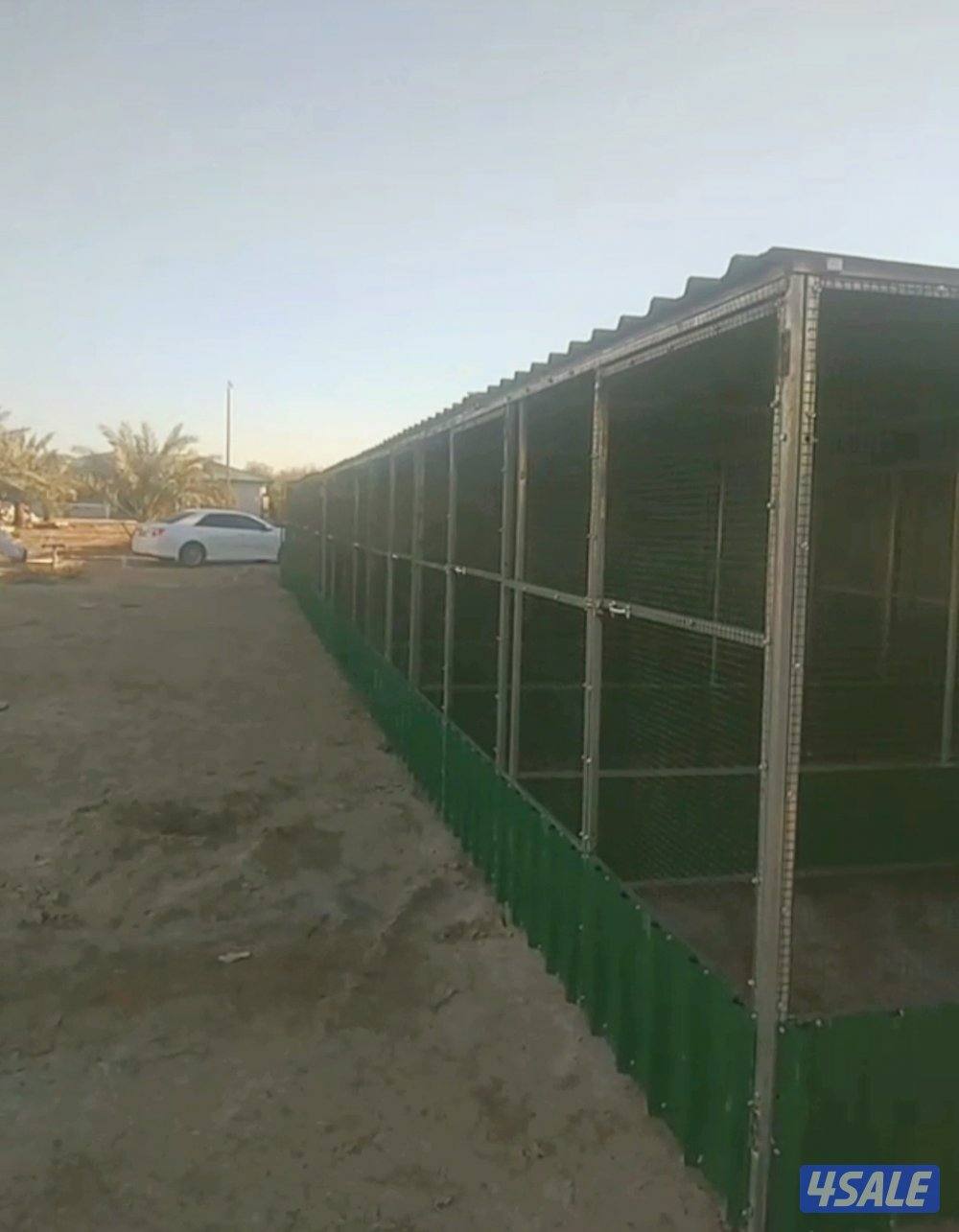 للبيع غرف مخازن مطابخ دورات مياه ومحاكر وبناجر خيل وغرف مواطير وعريش1