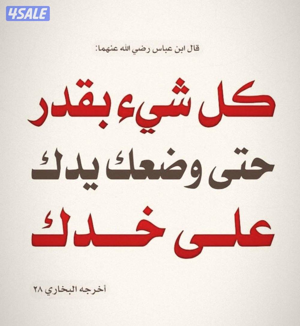 الايجار شقه فى أبو فطيرة ثلاث غرف وصاله ومطبخ ٢ حمام0
