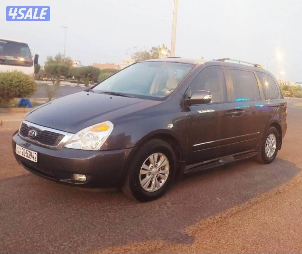 كرنفال ٢٠١٣ بيمه سنه صبغ وكاله يوجد فحص من الضمان8