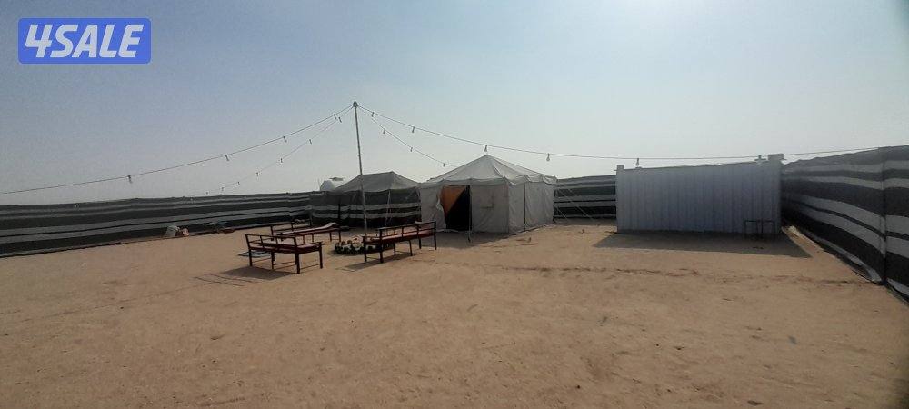 حفر ركايز يوجد تور يوجد خشب جميع بناء مخيمات ب كامل جميع المناطق3