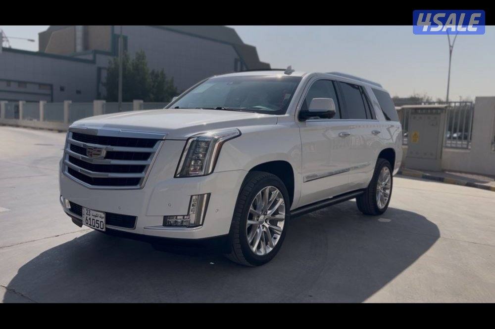 للبيع كدلك بريميوم 20190