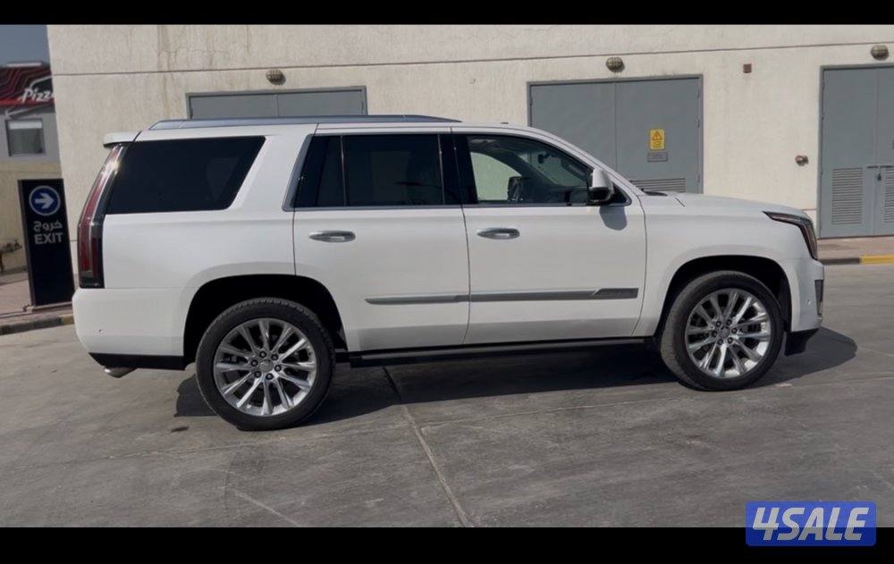 للبيع كدلك بريميوم 20196