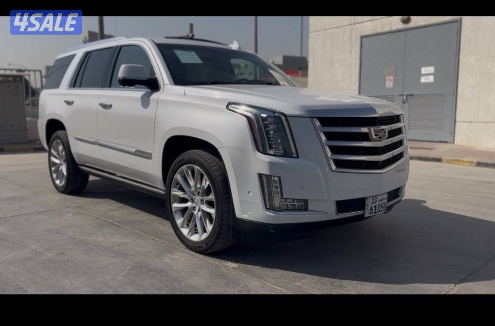 للبيع كدلك بريميوم 20195