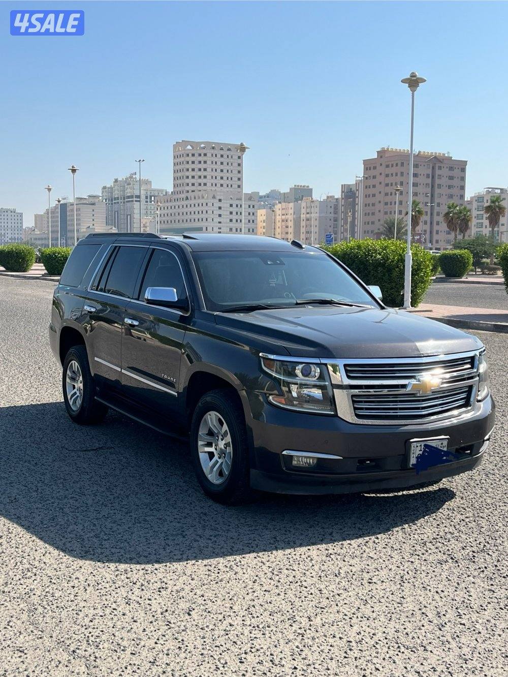 LT2 صبغ وكاله شرط الفحص0