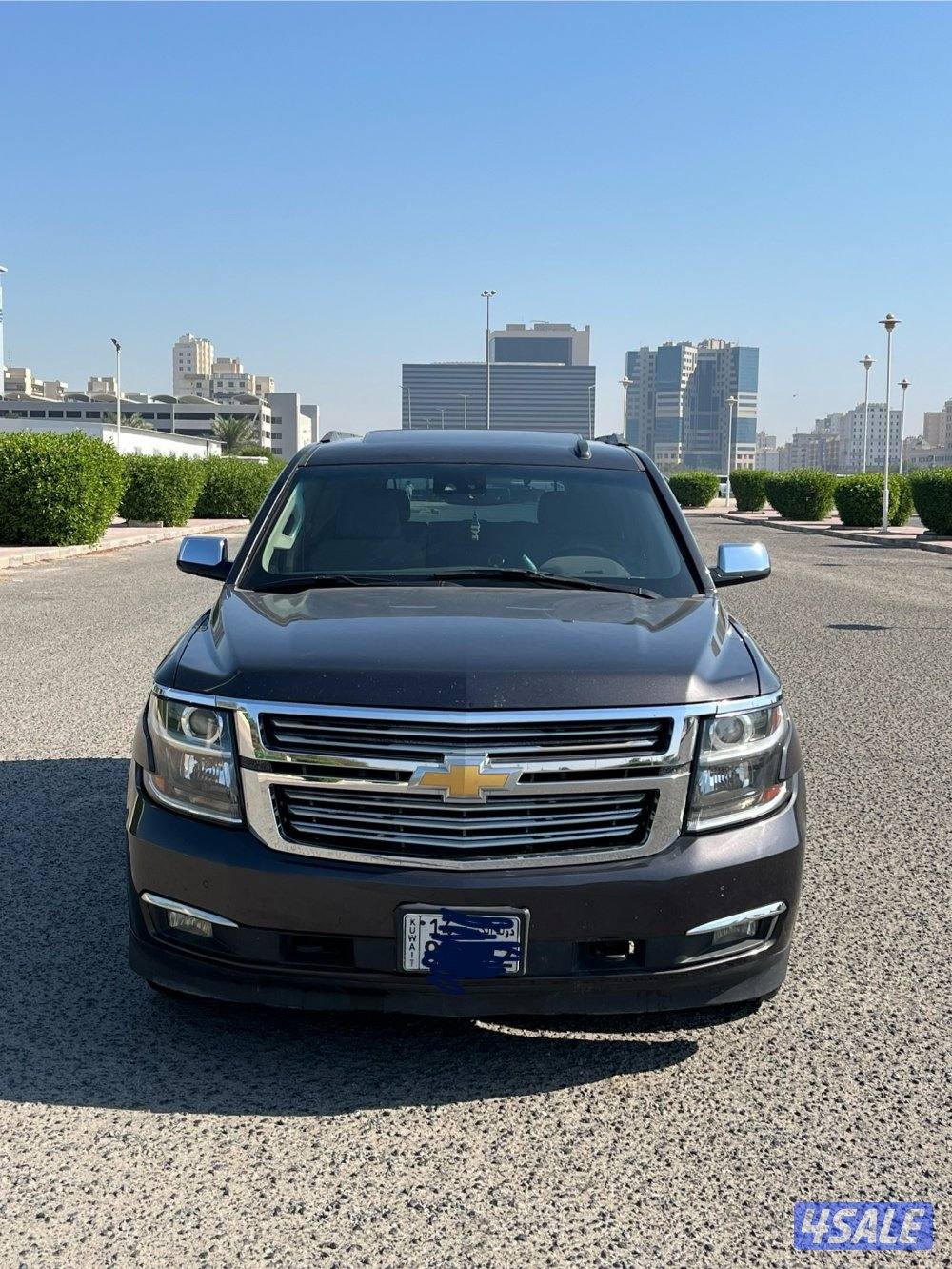 LT2 صبغ وكاله شرط الفحص2