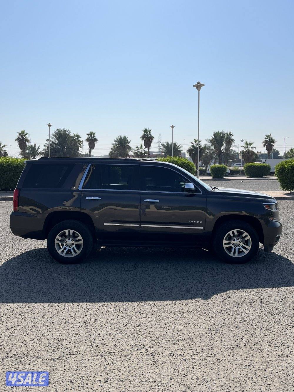 LT2 صبغ وكاله شرط الفحص4