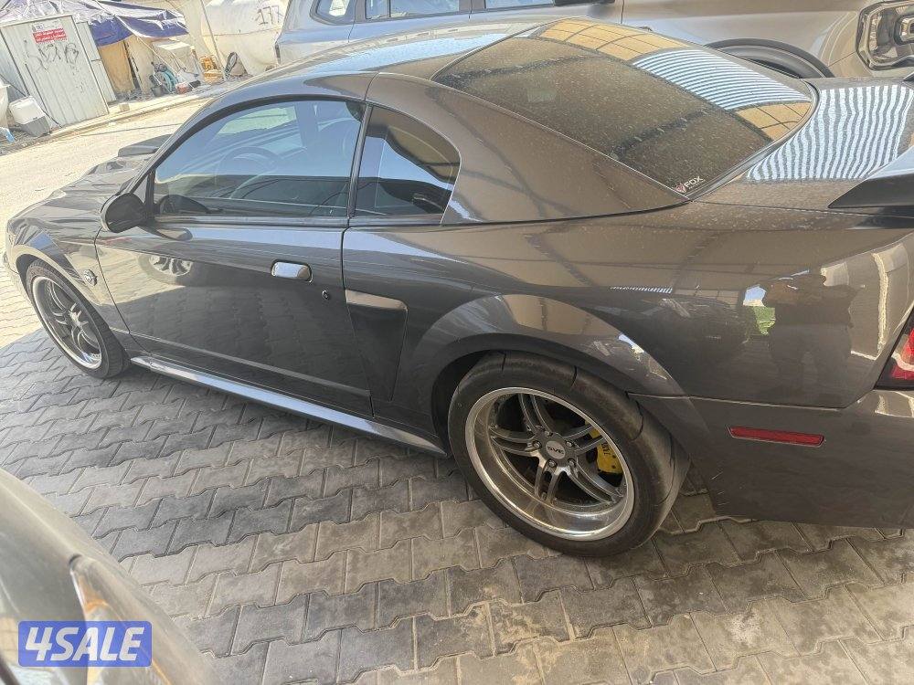 موستنق ماك 1 ( mach 1 )0