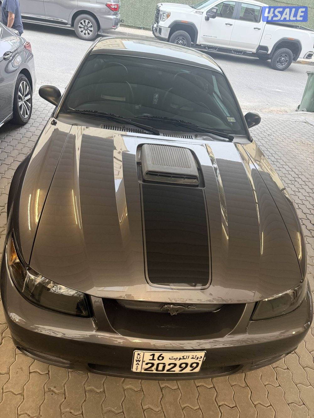 موستنق ماك 1 ( mach 1 )6