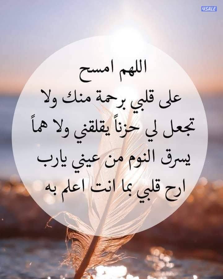 مدرس اسلامية عام ومعاهد دينية ( فقه وحديث ومحفظ قرآن باحكام التجويد)0