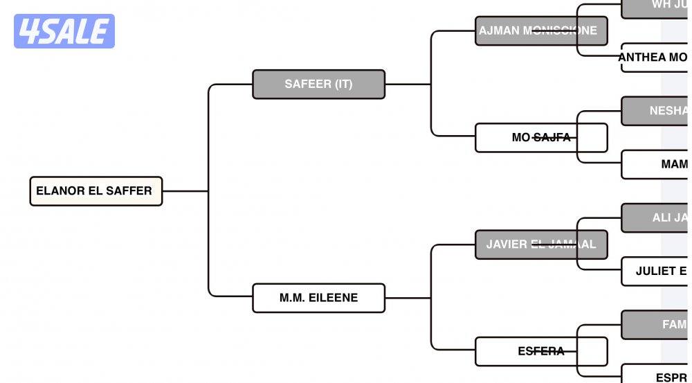 فرس عربية مكس ٢٠١٦ مستوردة من ايطاليا حفيدة عجمان منسيوني4