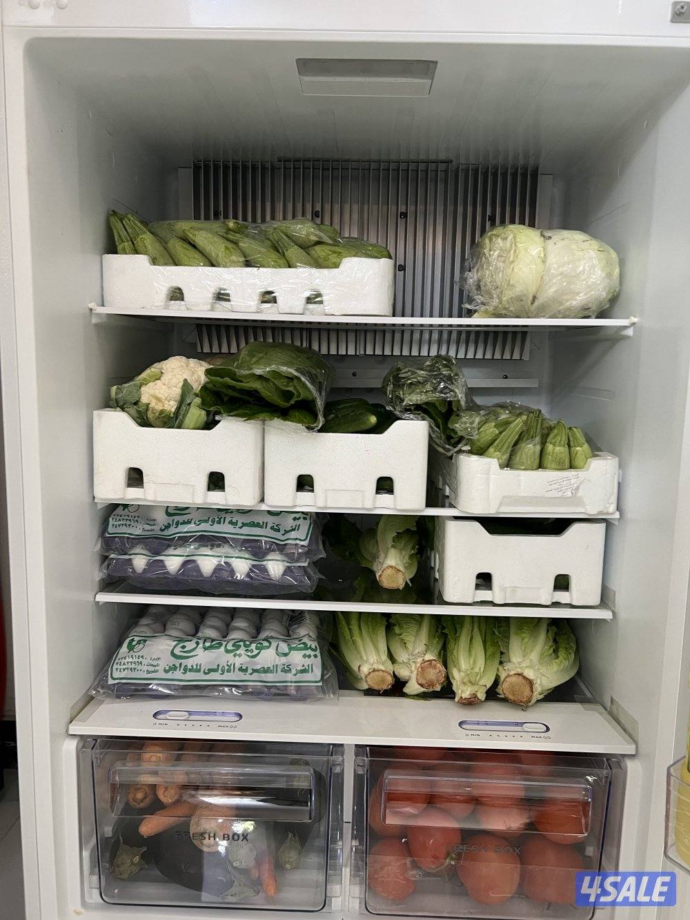 ثلاجات تعمل علي ساند الغاز والكهرباء3