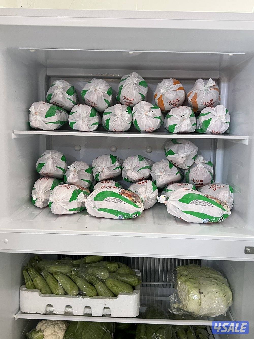 ثلاجات تعمل علي ساند الغاز والكهرباء10