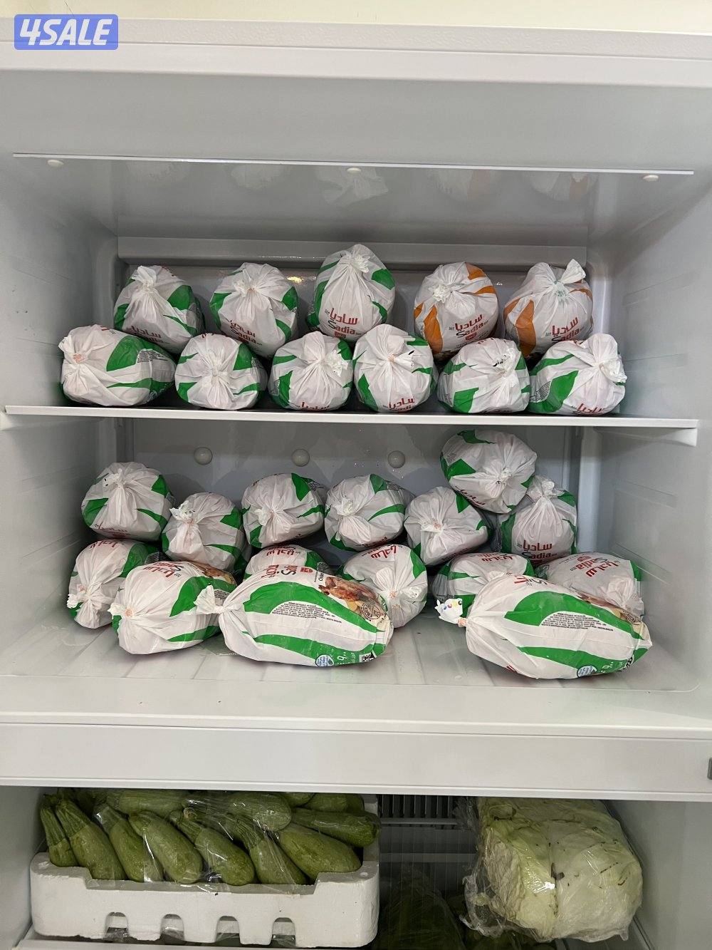 ثلاجات غاز للكرفانات والشاليهات وصيانه وتصليح غاز الكرفانات10