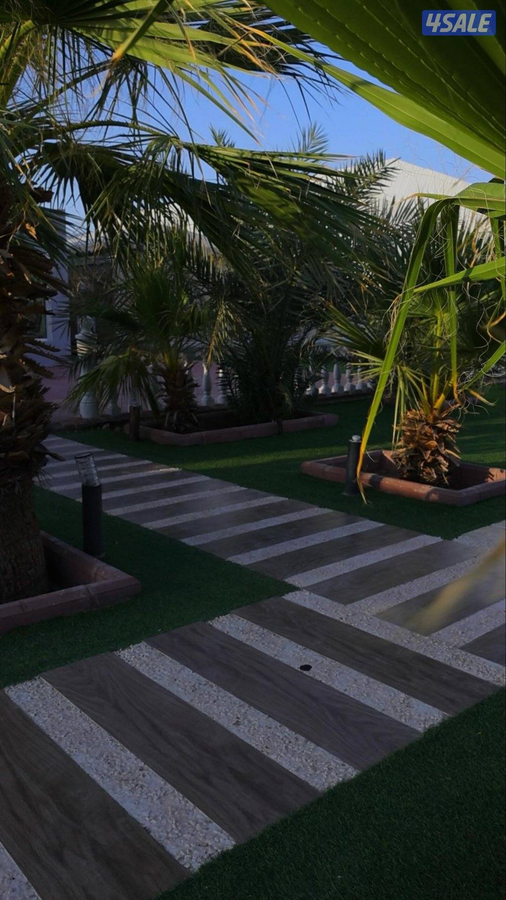 للايجار استراحة شهري اربع غرف و صالتين و دوانيه و مسبحين و مسطحات خضره1