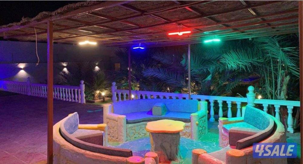 للايجار استراحة شهري اربع غرف و صالتين و دوانيه و مسبحين و مسطحات خضره4