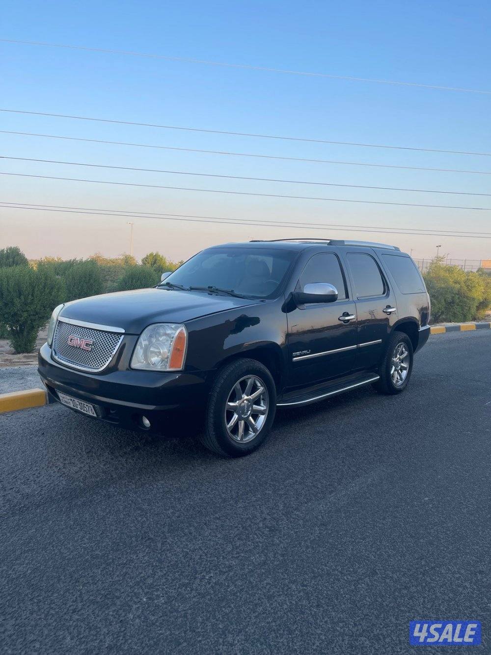 للبيع يوكن دنالي 20110