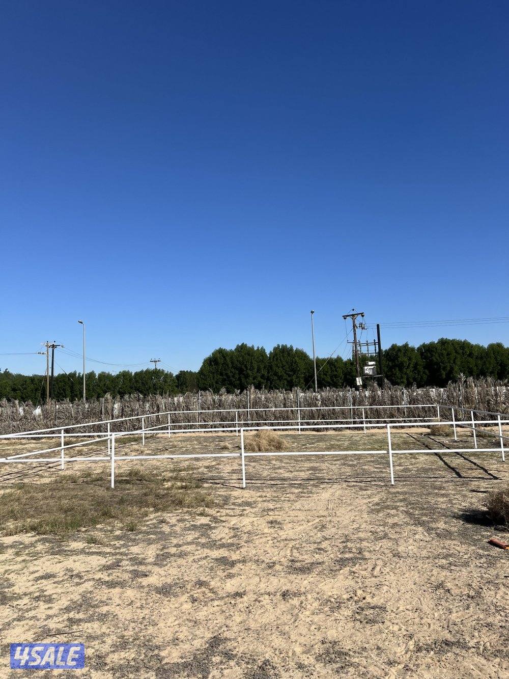 بناجر ابو علي فك تركيب لدينه بواديك الحجز ولستفسار10