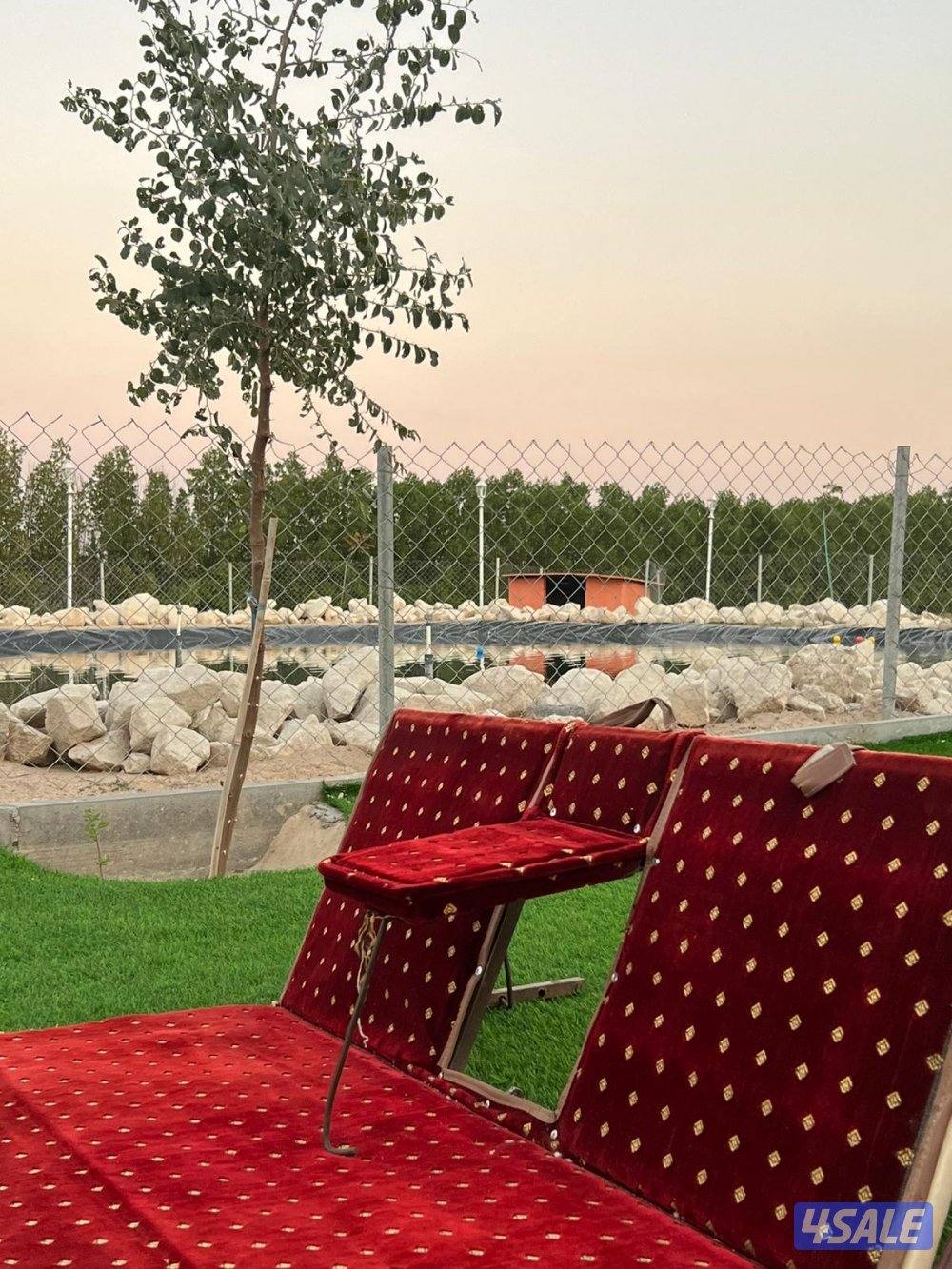 للأجار مزرعة حكاية في العبدلي تحتوي على ثلاث مزارع6