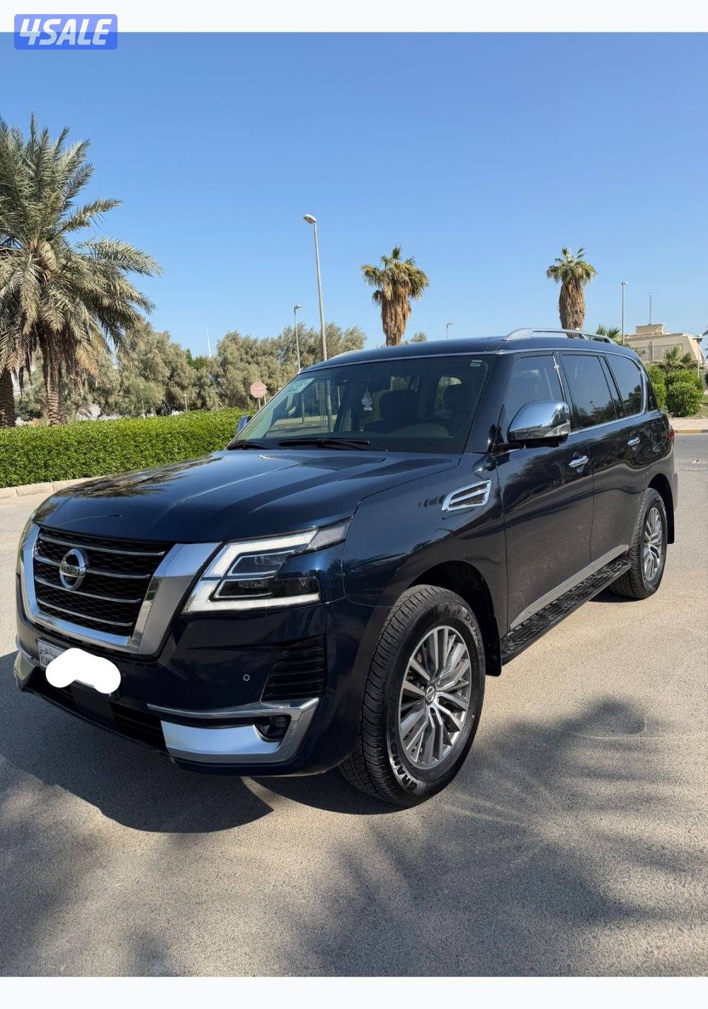 للبيع بلاتينيوم ستي - صبغ وكاله - عداد ٦٥0