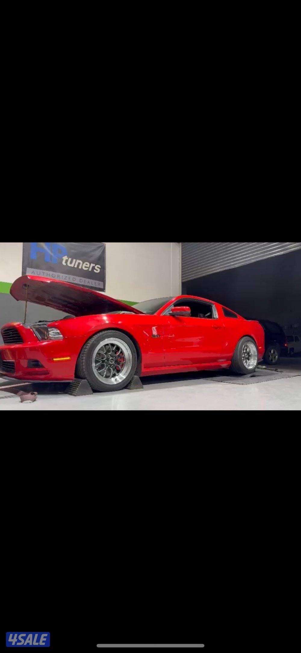 للبدل رنقات ولدات مع توايرهم مع وكالة 20131