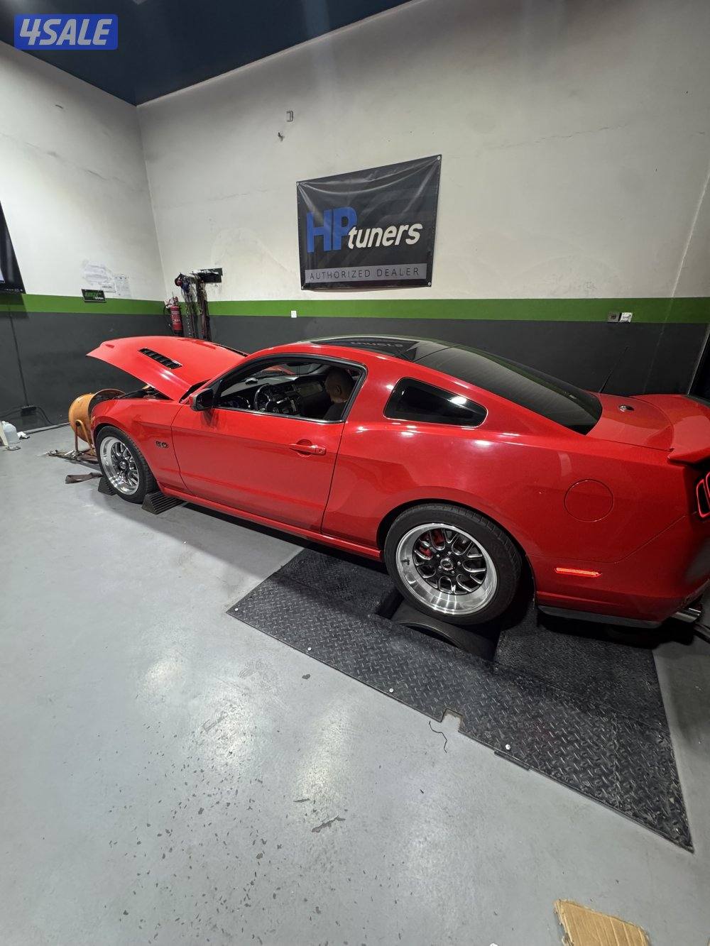 للبدل رنقات ولدات مع توايرهم مع وكالة 20132