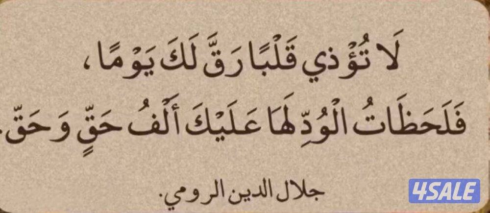 للايجار شقة في المطلاع المطلاع n4 ق٣ م٥١٧0