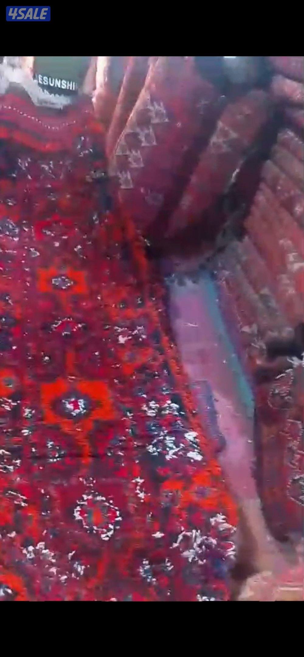 سجاد عراقي - شرط اصلي مو مصبوغ0