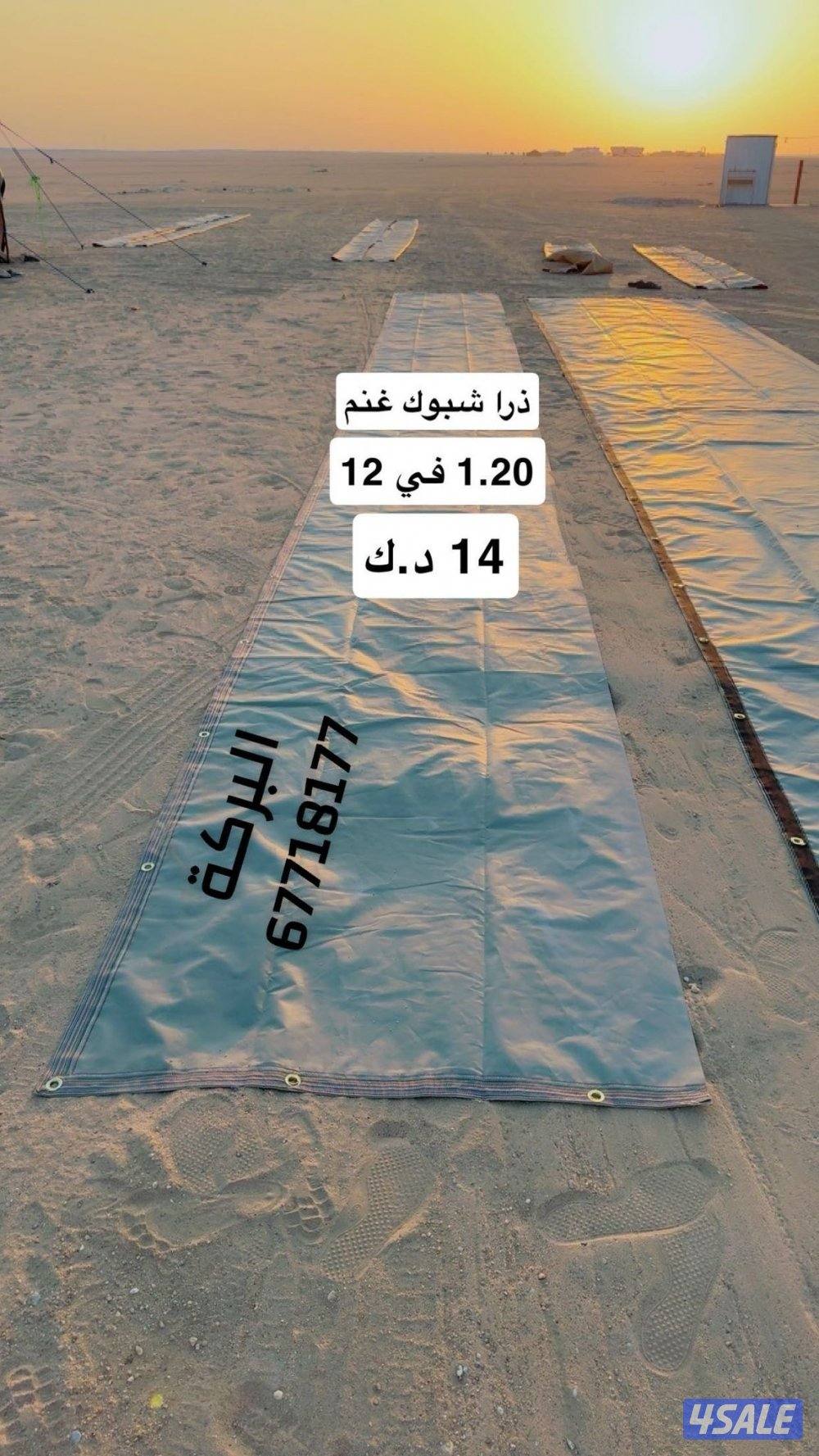 ذريات وخيام للحلال جوده عاليه سعر ممتاز2